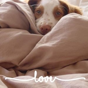 Meet your Posher, Ginny